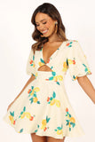 Mikaela Mini Dress Lemon Print