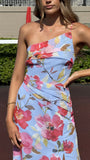 Karalina Maxi Dress Blue Pink Floral