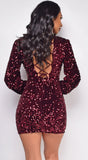 Ena Burgundy Red Sequin Dress