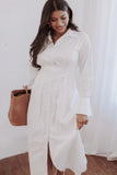 Alexander Shirt Dress Ivory