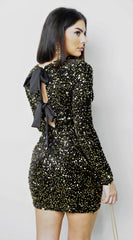 Éloria Velvet Sequin Long Sleeve Mini Dress Black
