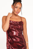 Karley Sequin Maxi Dress Burgundy