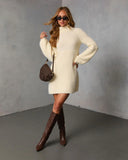 Jesiel Turtleneck Mini Sweater Dress