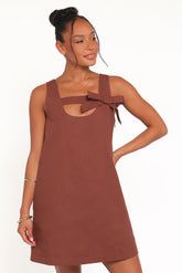 Elyria Mini Dress Brown