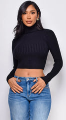 Astraia Basic Turtle Neck Crop Ribbed Sweater Top Black