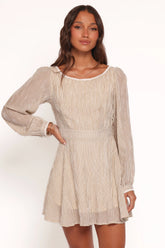 Kyra Long Sleeve Mini Dress Stripe
