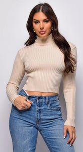 Astraia Basic Turtle Neck Crop Ribbed Sweater Top Beige