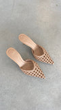 Dottie Heel Desert