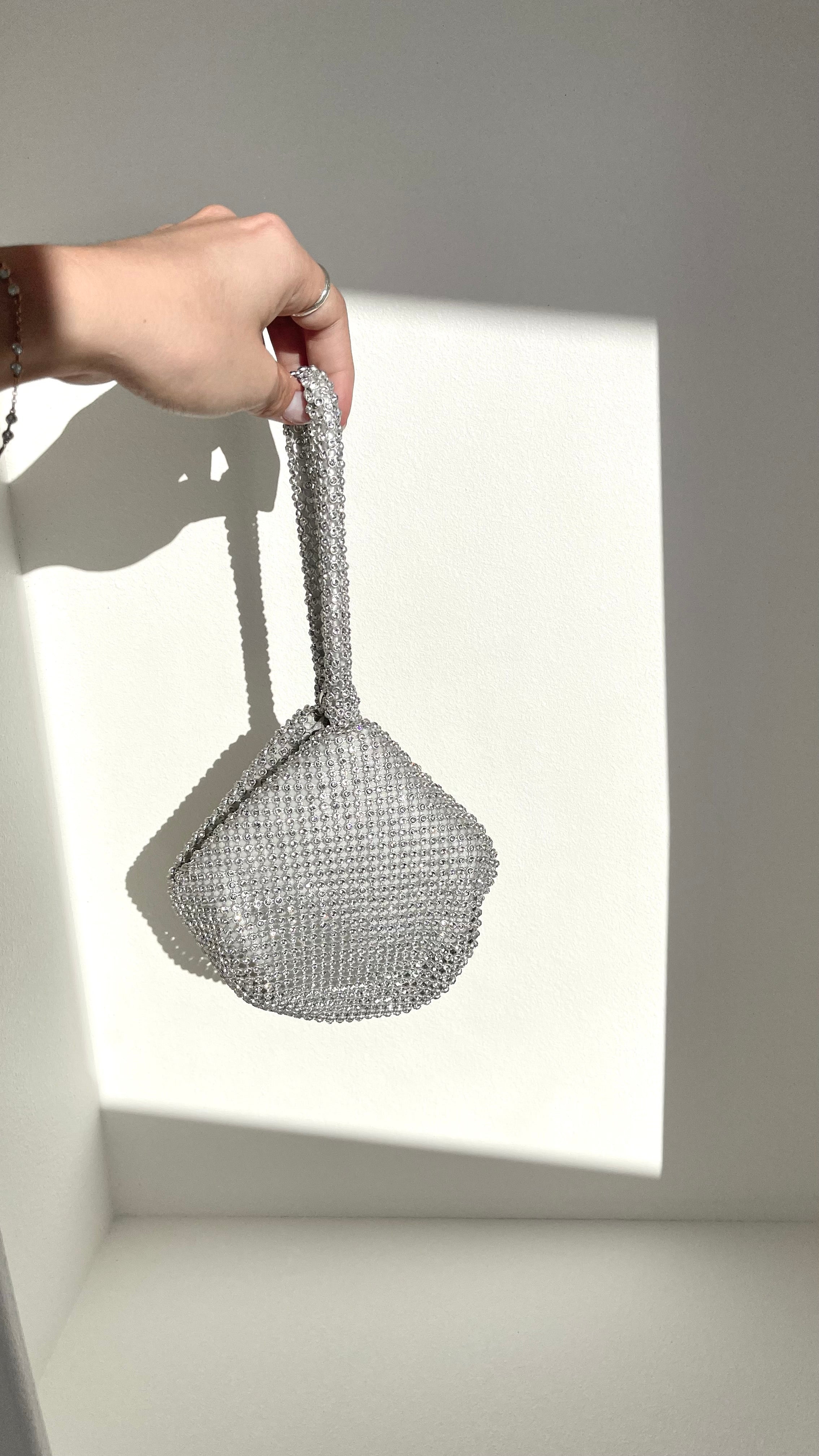 Delawear Bag Silver