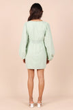 Emilina Long Sleeve Mini Dress Sage