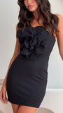 Xanbi Mini Dress Black