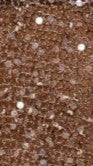 Zinnie Sequins Off Shoulder Top Mocha