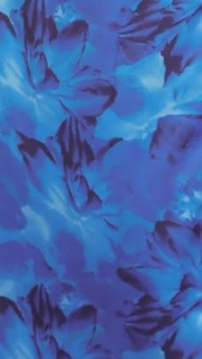 Barzilio Dress Blue