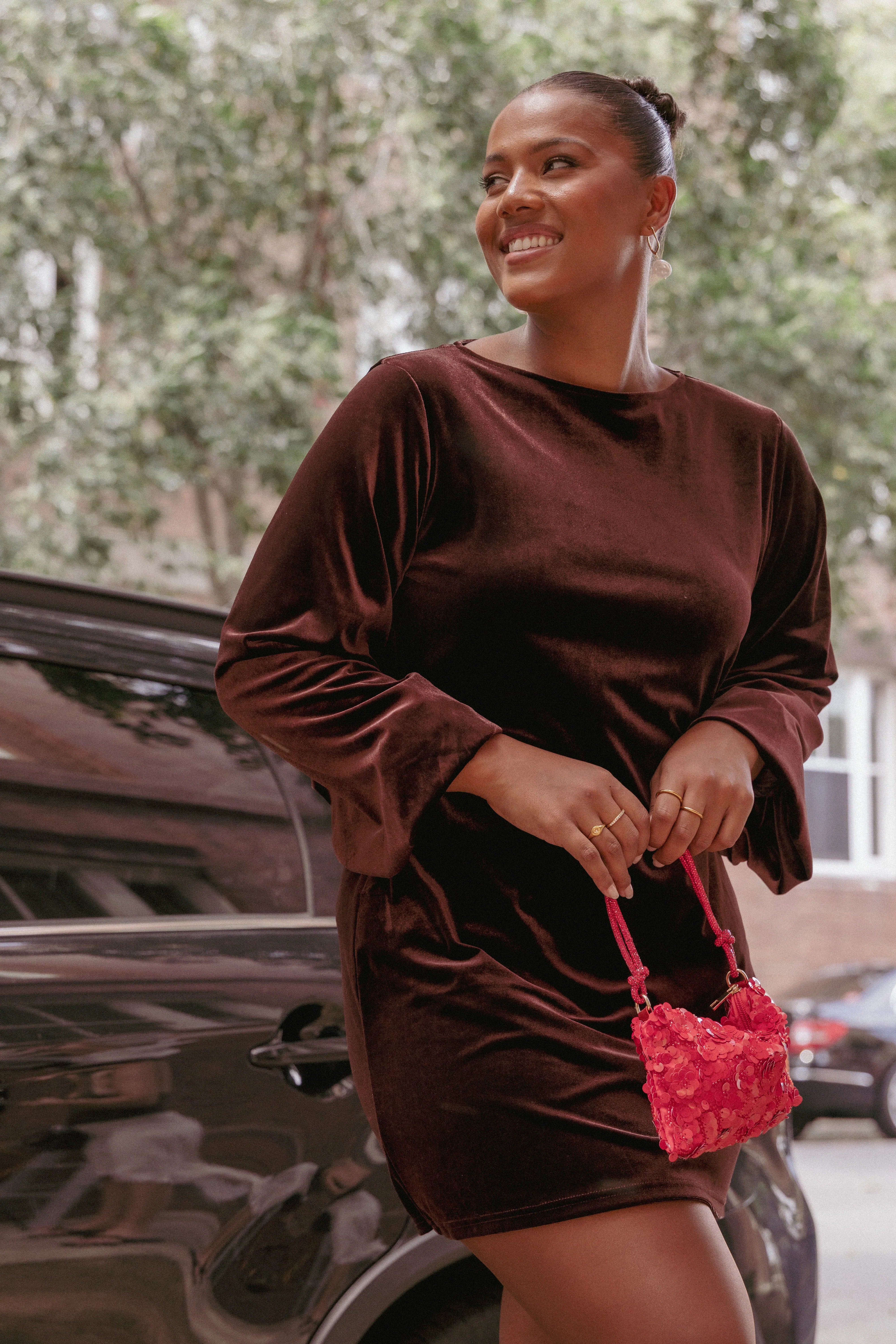 Twylar Long Sleeve Velvet Mini Dress Brown