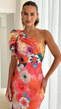 Amina Maxi Dress Multi Floral