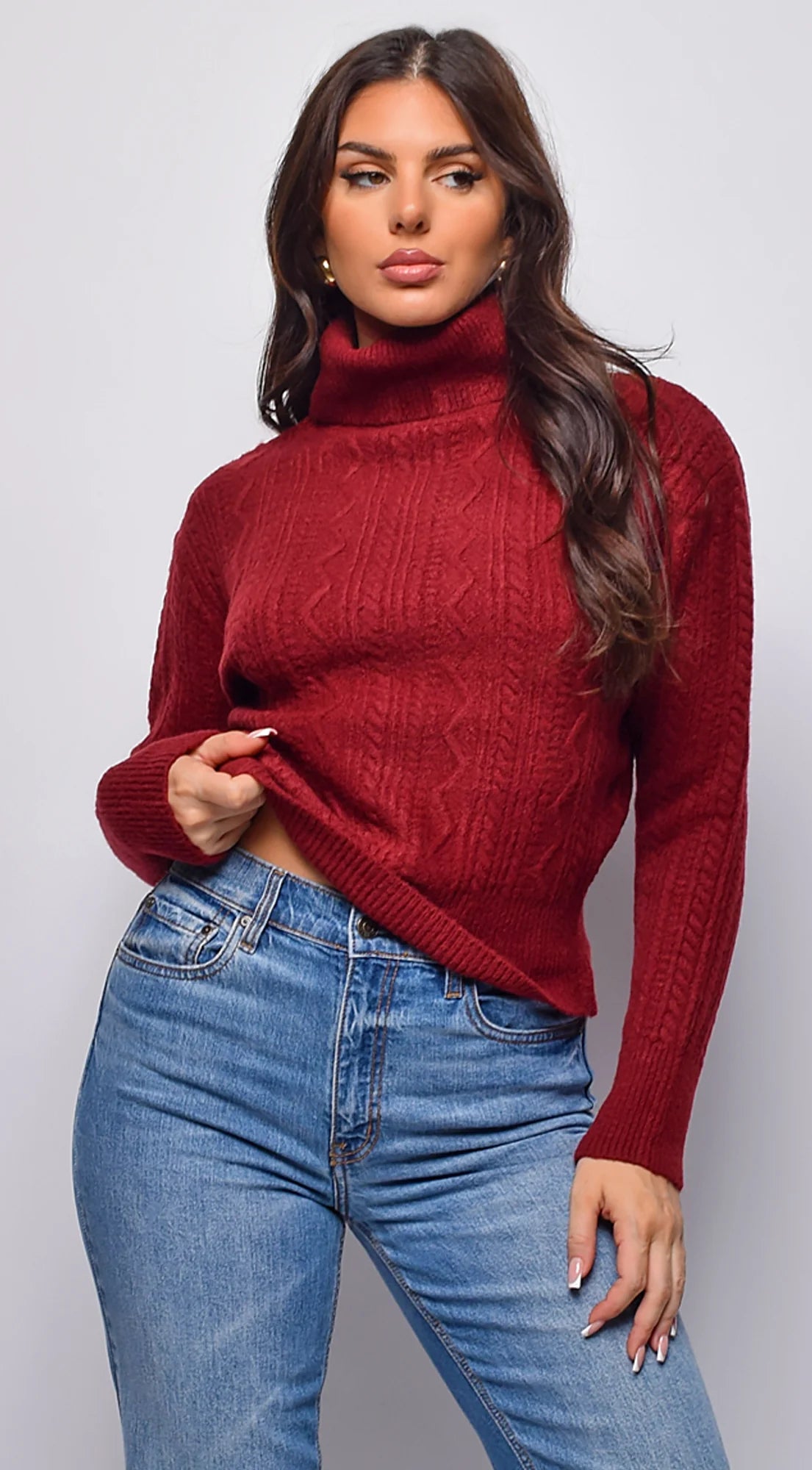 Gisella Cable Knit Turtle Neck Sweater Top Burgundy