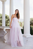 Anabella Strapless Maxi Dress Pale Pink