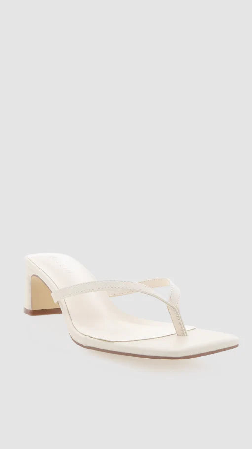 Gulliver Heel Bone