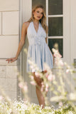 Leigh Halterneck Mini Dress Light Blue