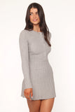 Darlina Long Sleeve Mini Dress Heather Grey