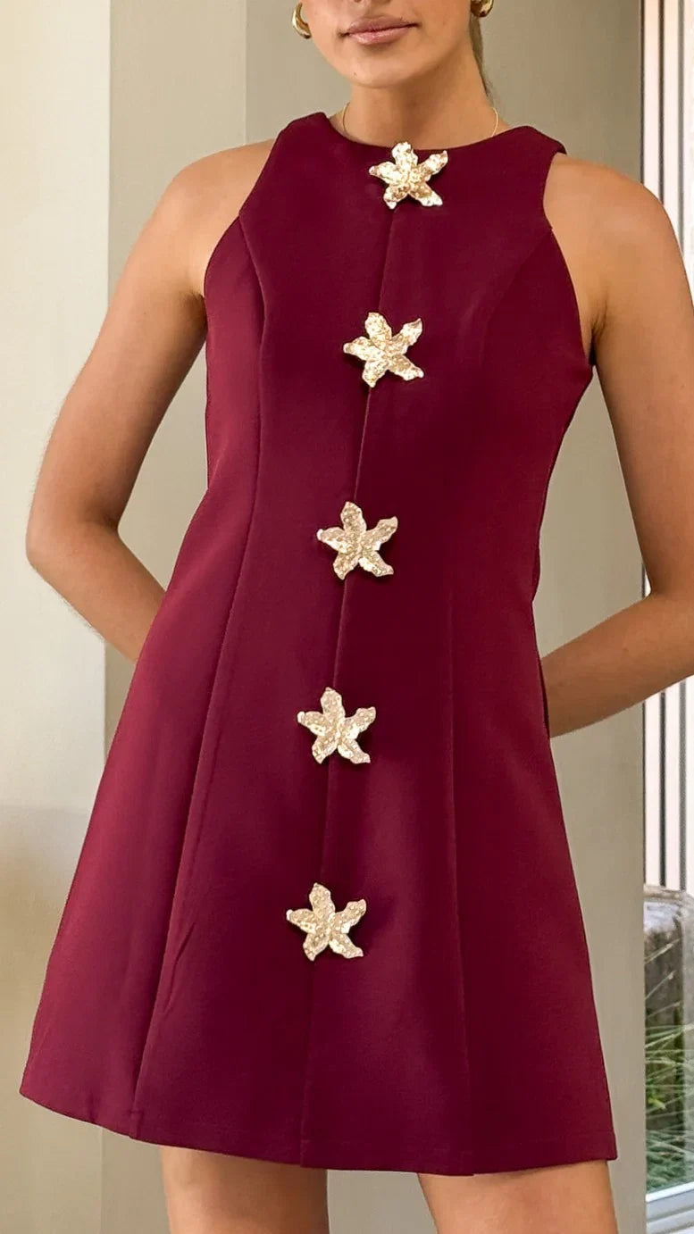 Daray Mini Dress Burgundy Star