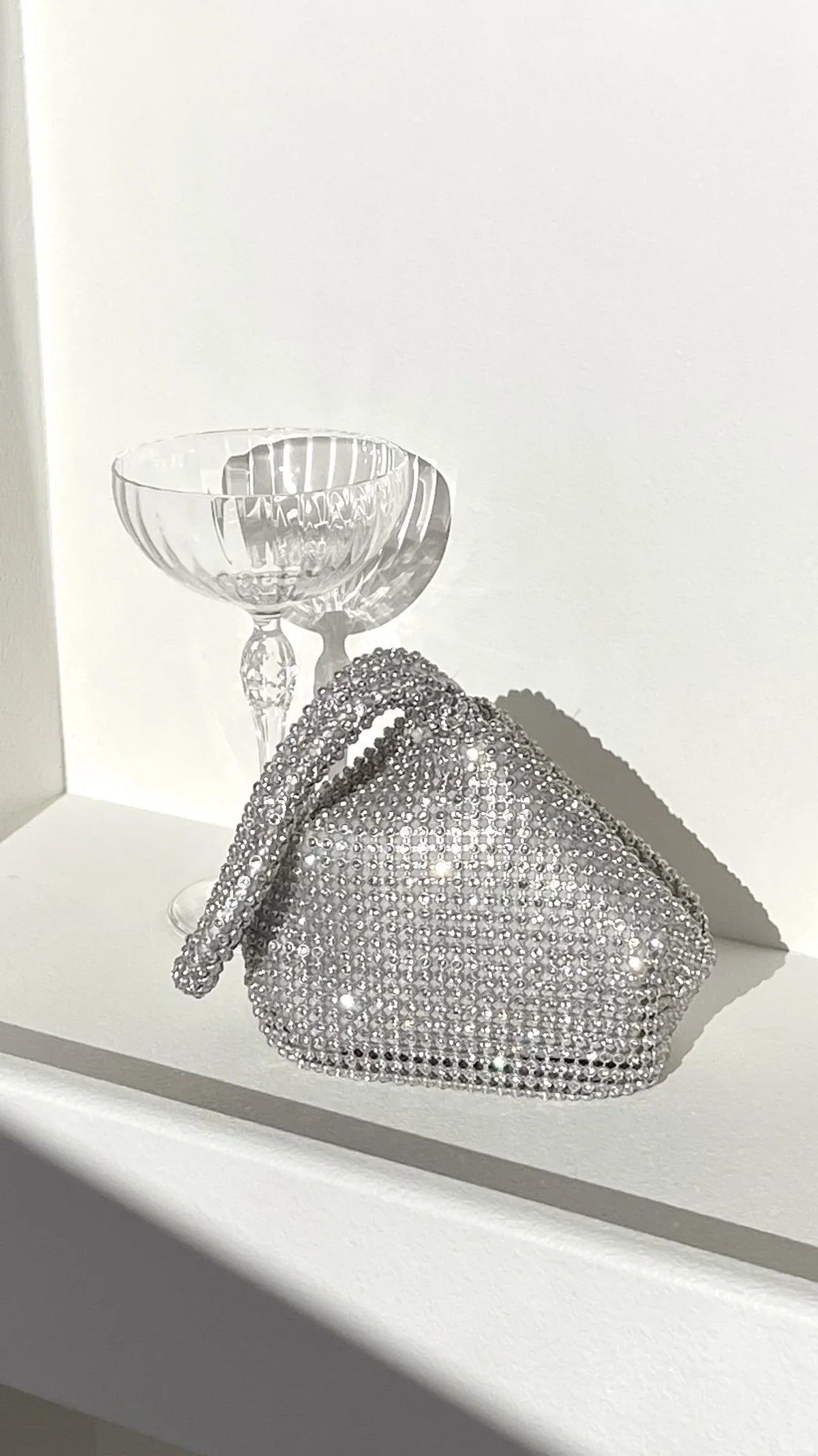 Delawear Bag Silver