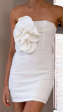 Xanbi Mini Dress White