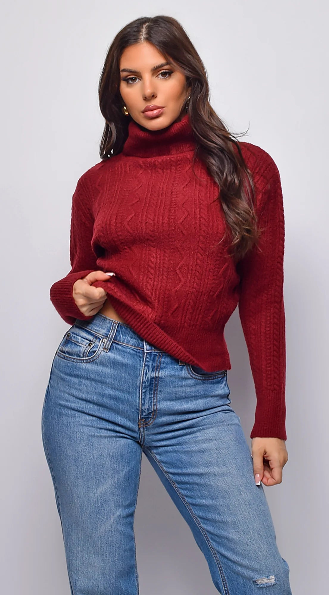 Gisella Cable Knit Turtle Neck Sweater Top Burgundy