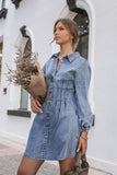 Phoenix Long Sleeve Mini Dress Denim