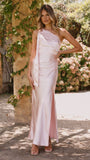 Halle One Shoulder Maxi Dress Pink