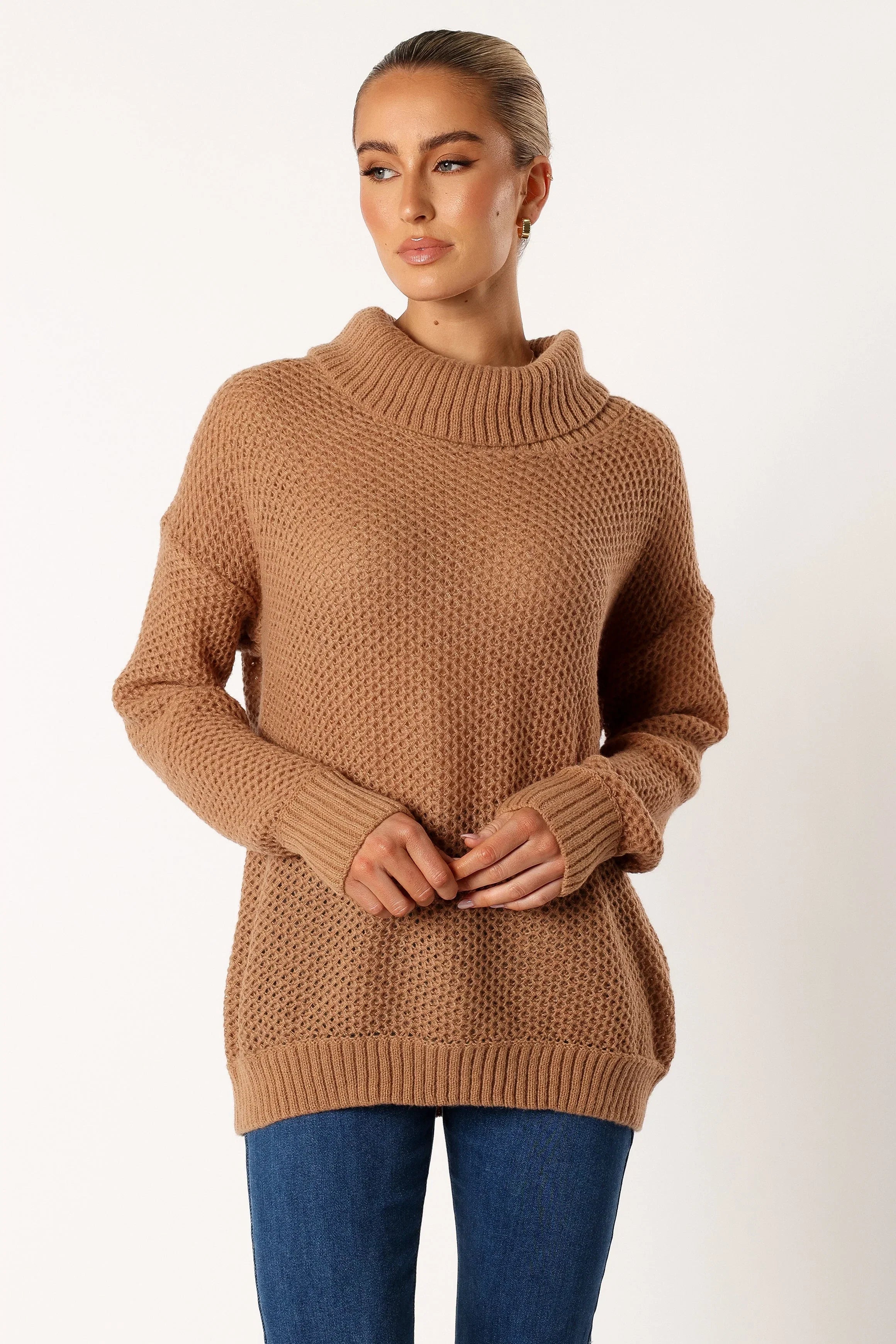 Rayne Turtleneck Knit Sweater Beige