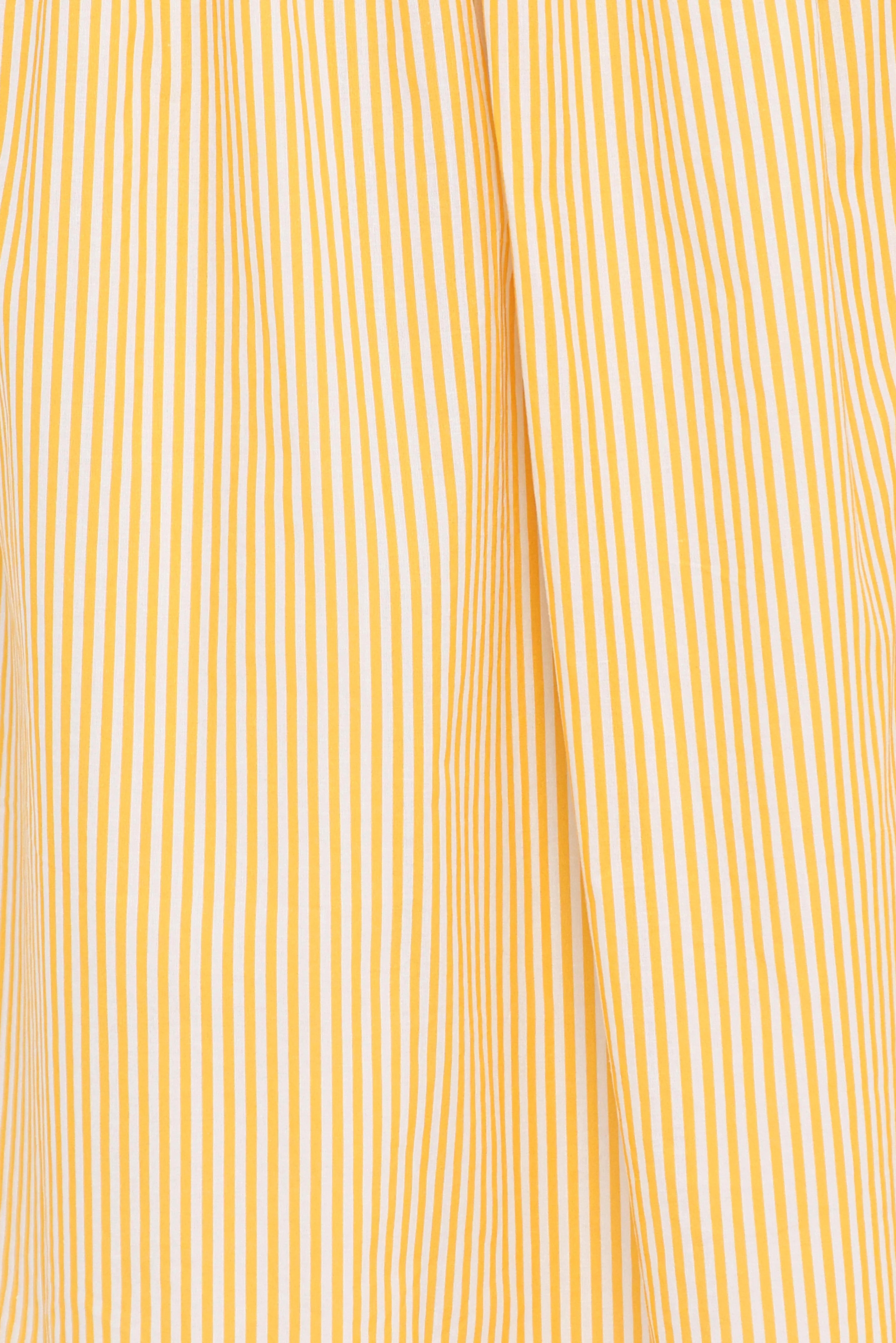 Salome Maxi Skirt Mango Stripe