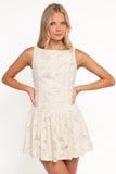 Briar Lace Mini Dress Cream