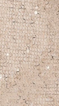 Zinnie Sequins Off Shoulder Top Beige
