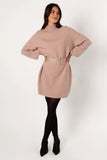 Maeve Long Sleeve Mini Dress Mocha