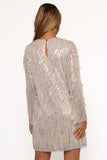 Serena Sequin Mini Dress Nude Silver