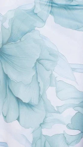 Coda Maxi Dress Blue Floral