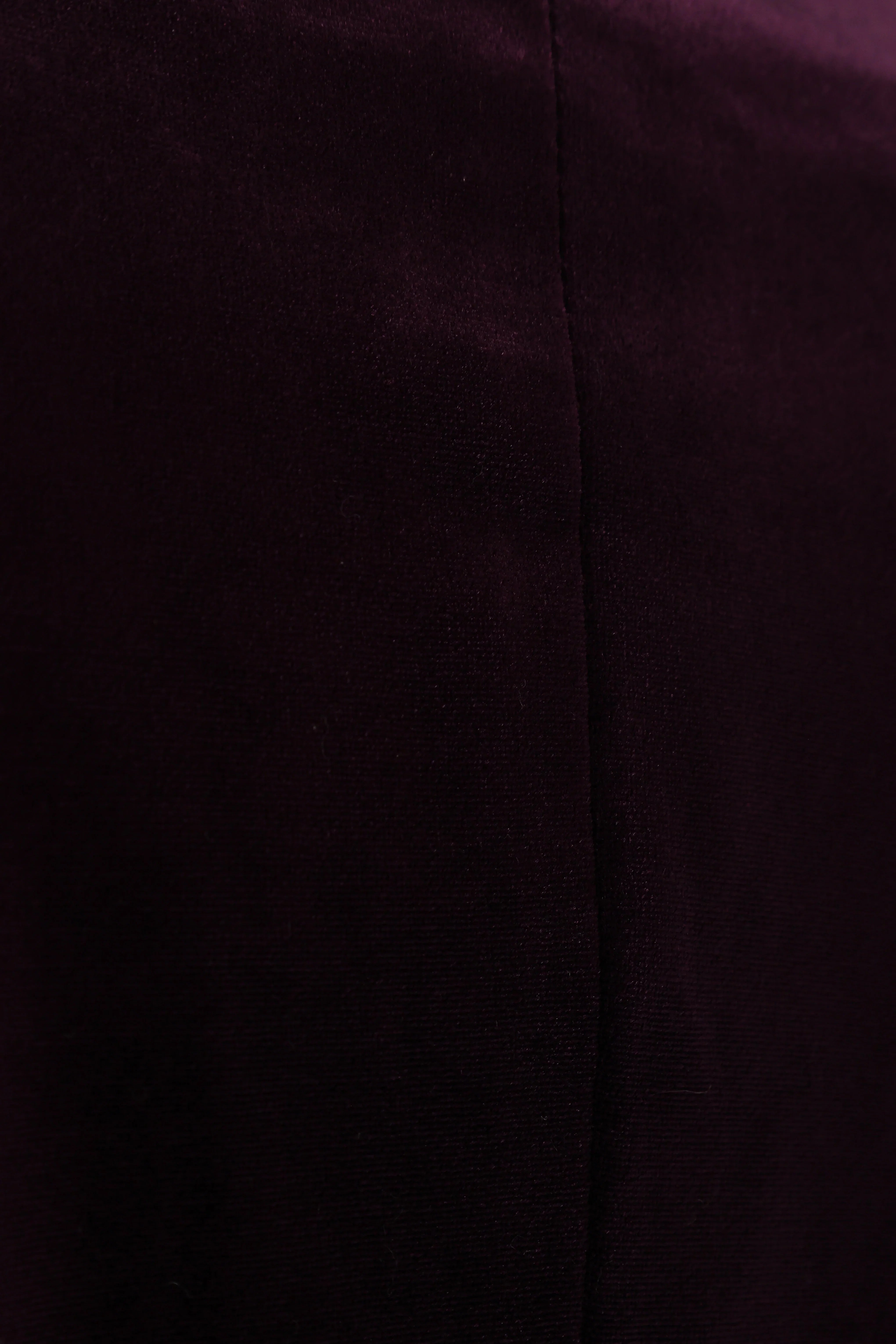 Vera Velvet Blazer Plum