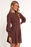 Gigi Long Sleeve Mini Dress Brown