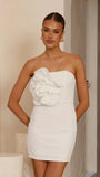 Xanbi Mini Dress White