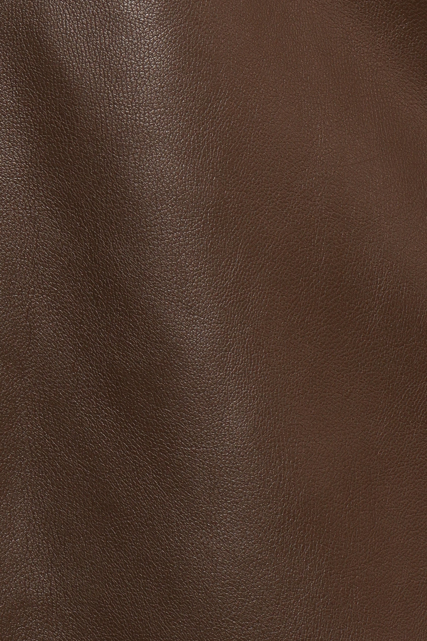 Haelee Faux Leather Skirt Brown