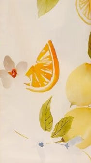 Agatha Mini Dress Sunshine and Lemons