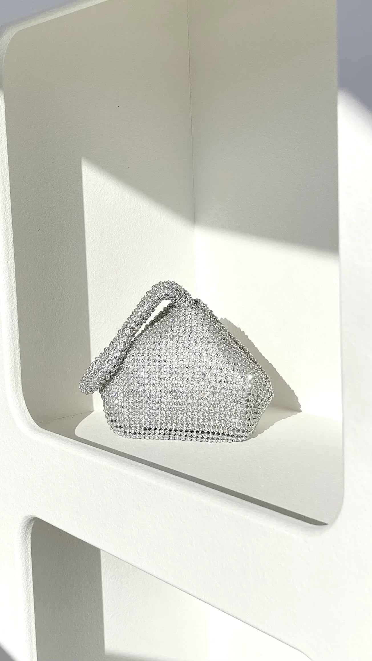 Delawear Bag Silver