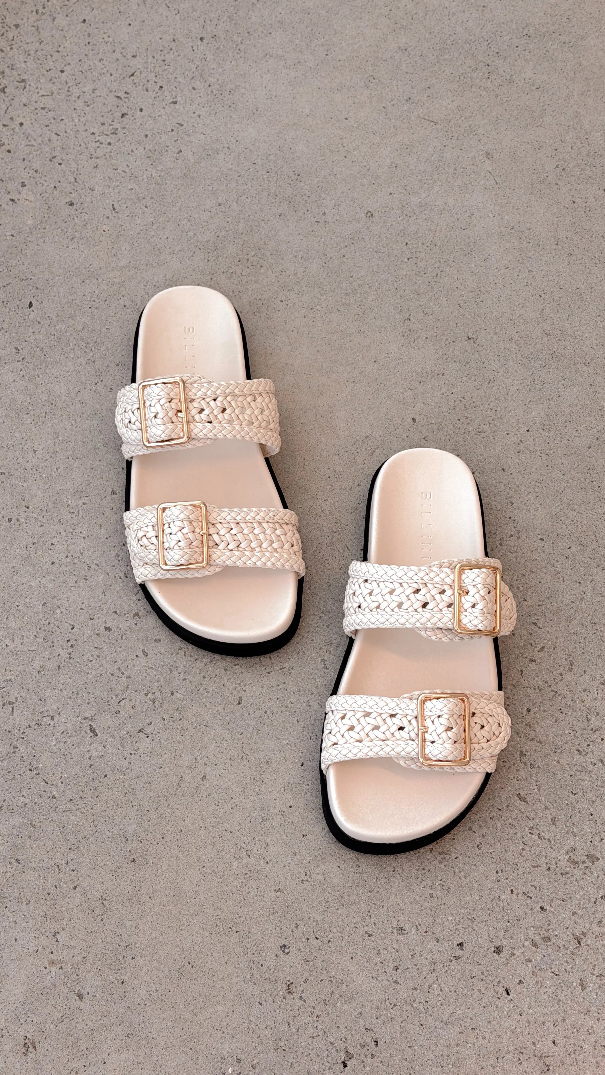 Aprila Slides Bone