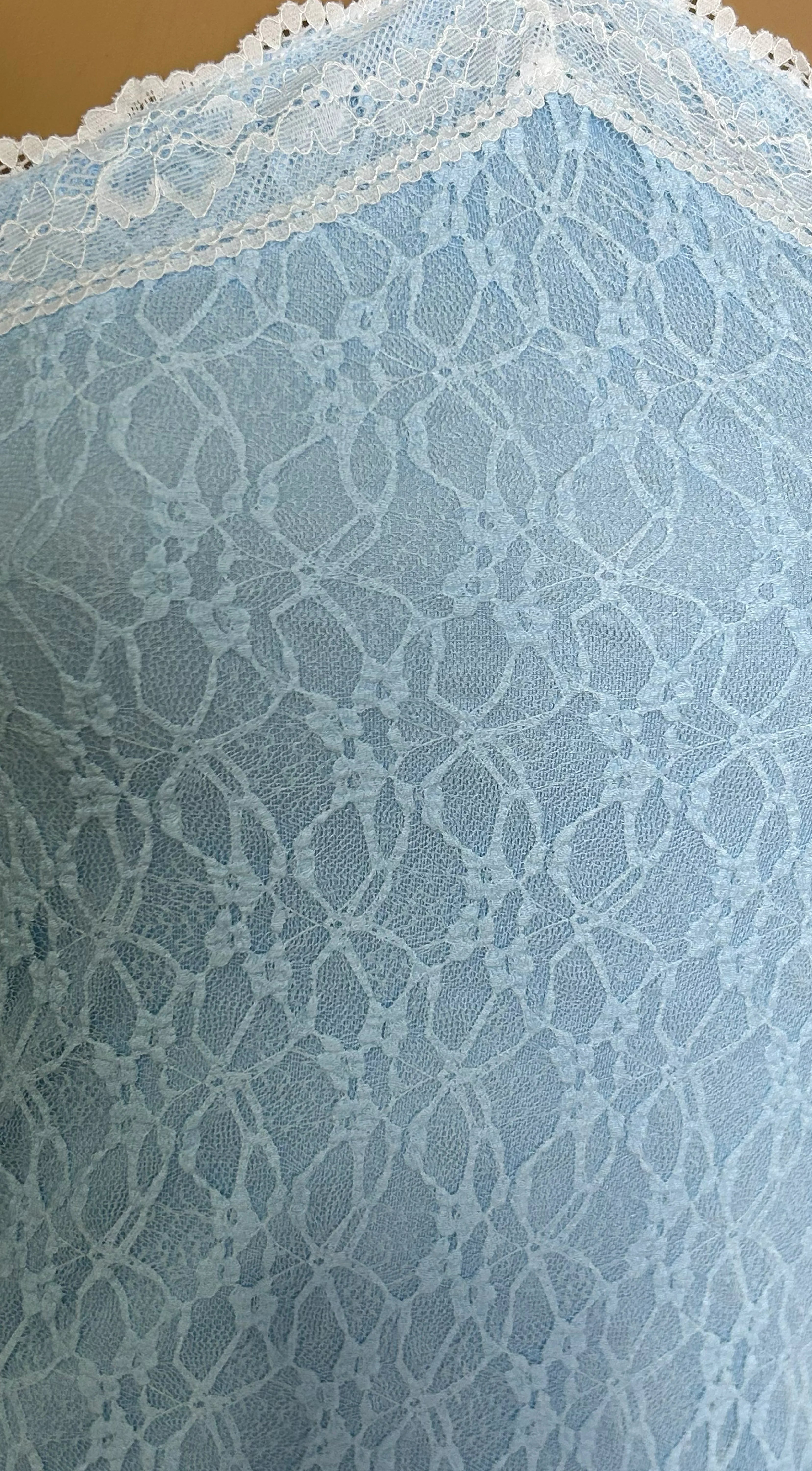 Elarie Lace Mini Dress Blue