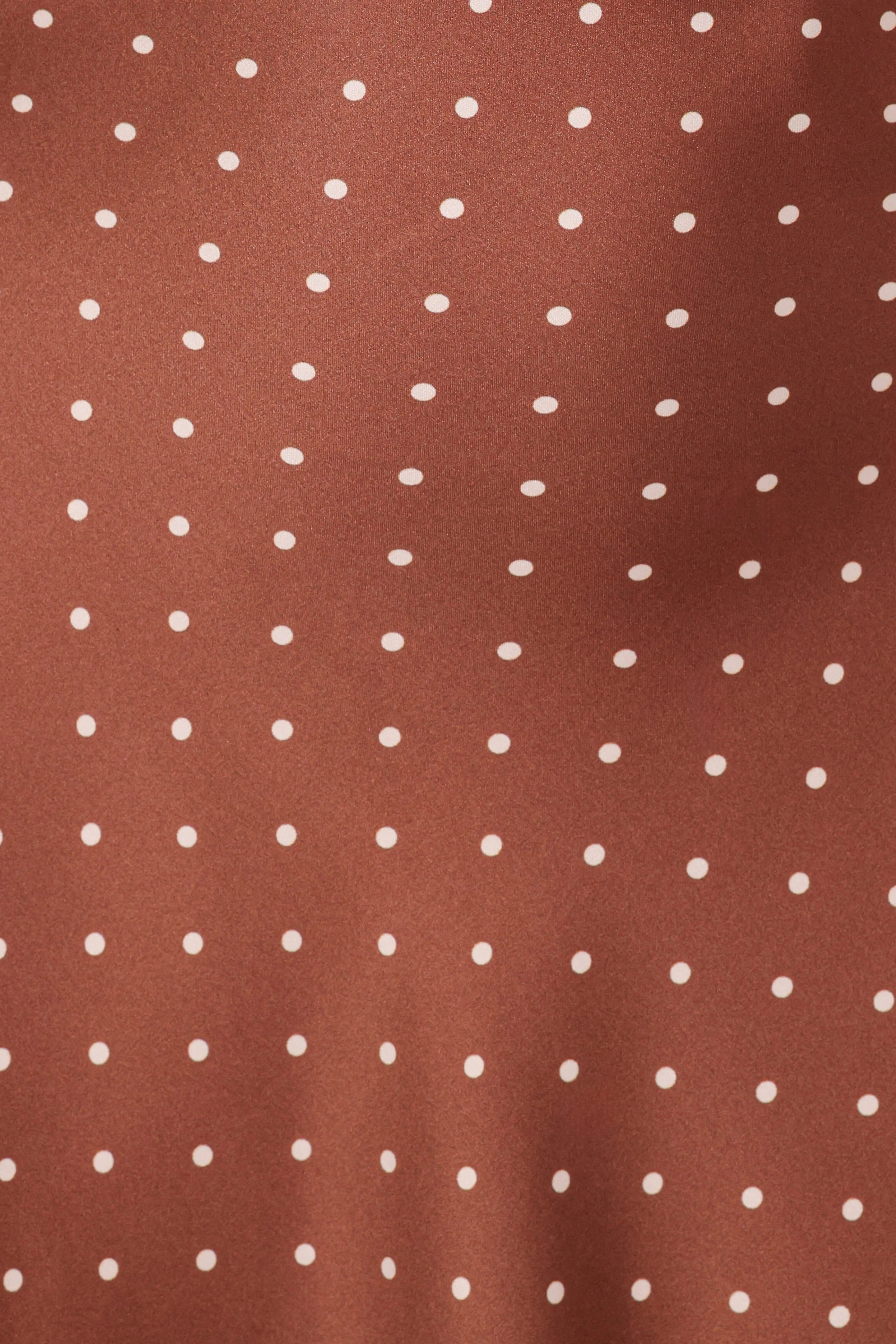 Cassinda Mini Dress Brown Polka Dot