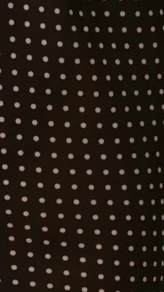 Onella Sheer Maxi Skirt Black White Spot