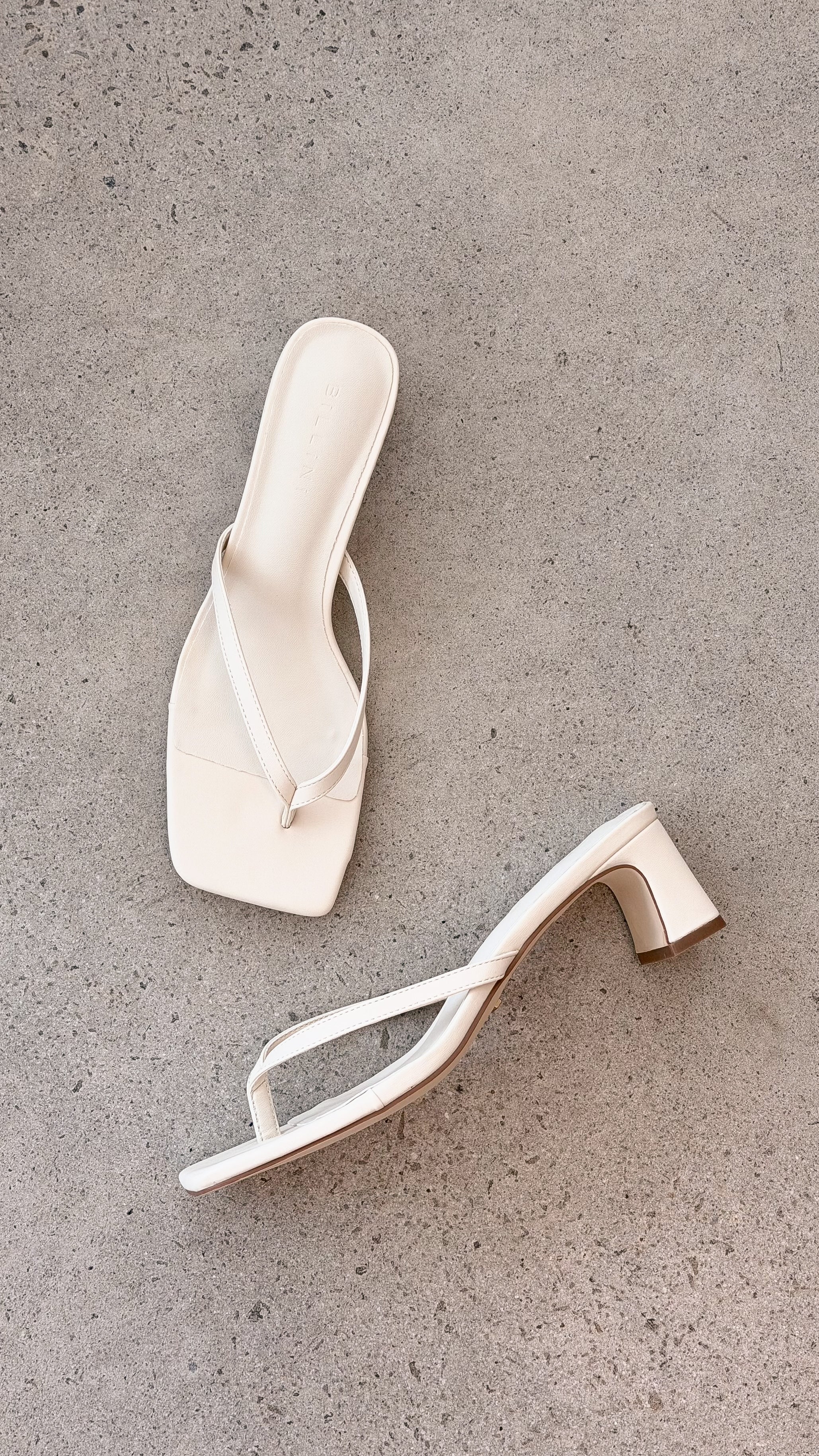Gulliver Heel Bone