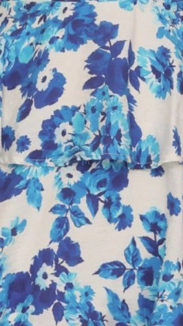 Odilia Maxi Dress Blue White Floral