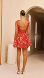 Canika Mini Dress Red Floral